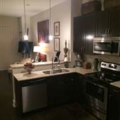 West End Apartment on Centennial Park