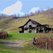 White Fence Farm