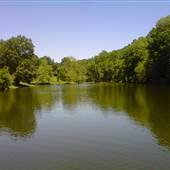 Scaife Lake