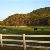 T Lea Farm