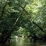 Various Tennessee Creeks