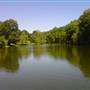 Scaife Lake