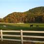 T Lea Farm