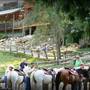 French Broad Dude Ranch