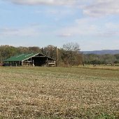 Farmer's Land