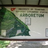 UT Arboretum