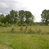 Hopeful Acres