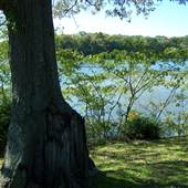 Camp Dixie