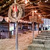 Possum Trot USA