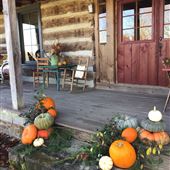 The Farm at Cedar Springs