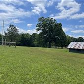 The Farm