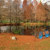 Spring creek farm