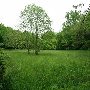 Percy Warner Park