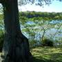 Camp Dixie