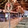 Possum Trot USA