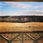 Ashland City Farms