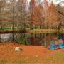 Spring creek farm