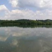 Oak Ridge Marina