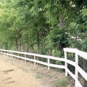 Portland Saddle Club