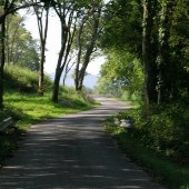 Scottsboro Road at Bells Bend