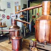 Dixie Queen Stills