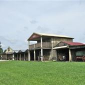 Bottom View Farm