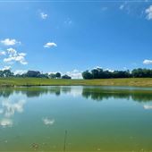 85 Acre Equestrian Farm with 4 acre Lake
