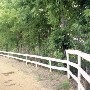 Portland Saddle Club