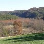 Blackberry Farms Resort