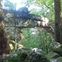 The Natural Bridge