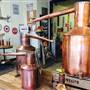 Dixie Queen Stills