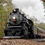 Tennessee Valley Railroad