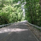 Mingo Swamp