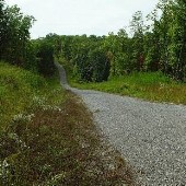 Allegheny Loop Rd