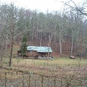 Roane Co Shack 2
