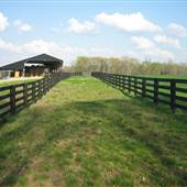 Tennessee Grass Fed Farm