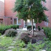 Hospital site