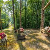East Tennessee Rancher in the Woods