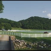 Diamond Creek Farms