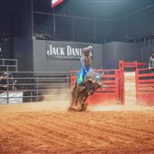 Slide & Ride Rodeo