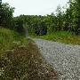 Allegheny Loop Rd