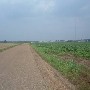 Shelby Farms