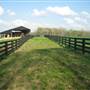 Tennessee Grass Fed Farm