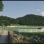 Diamond Creek Farms