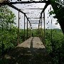Abandoned Bridge