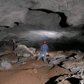 Big Bone Cave