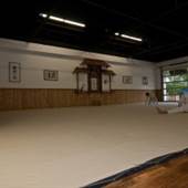 Aikido at Aikikai