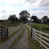 Amulet Farm