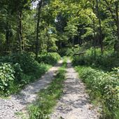 Weeping Willow Estates Lot 12