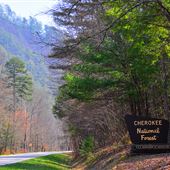 Cherokee National Forest